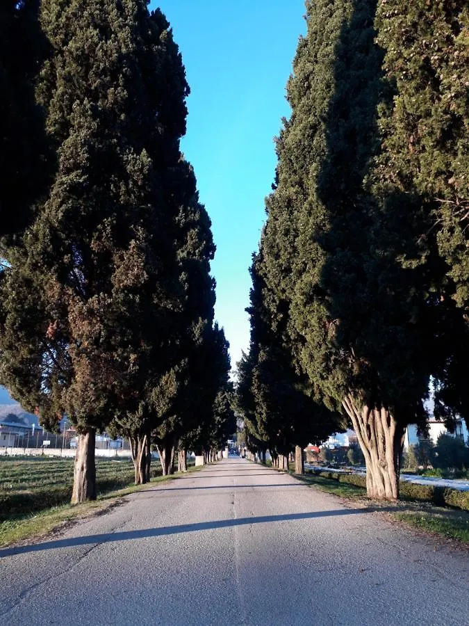 Guest House Villa Angaran San Giuseppe Μπασάνο Ντελ Γκράπα